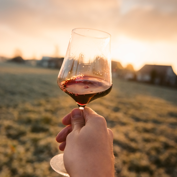 Imagen de Diplomado en Vinos